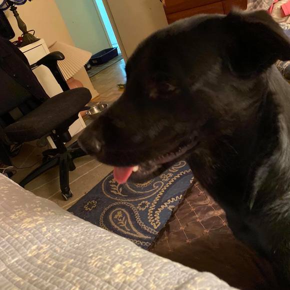 Meet your Posher, Colleen - Picture 1 of 1